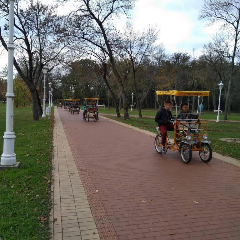Apartman Buba Палич Екстериор снимка